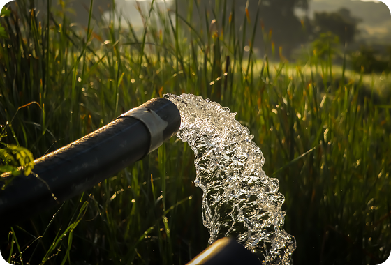 Water flows out of a black pipe into a green field, with grass and plants visible in the soft, golden sunlight.
